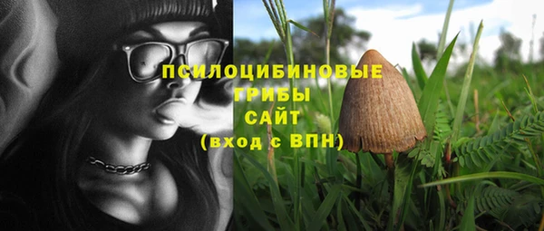 метадон Нягань