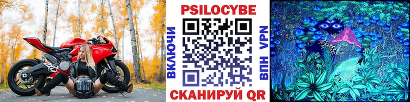 мега как войти  Приволжский  Галлюциногенные грибы прущие грибы  наркота 