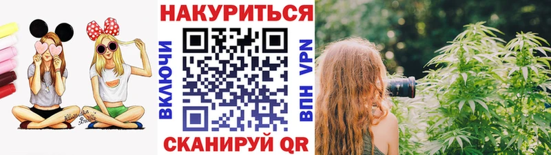 где купить наркотик  Приволжский  Конопля индика 